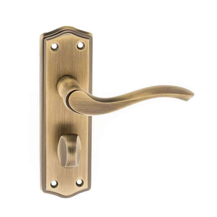 Warwick WC Lever On Backplate - Image 8